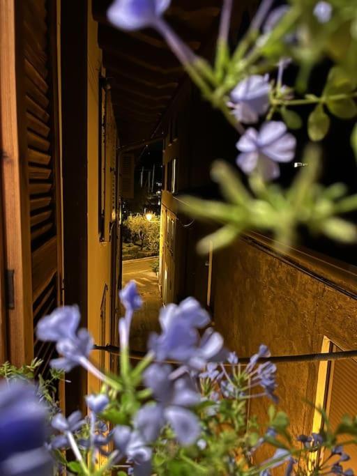 La Piccola Casa Al Lago - Intera Casa Con 3 Camere E 2 Box Salò Exterior foto