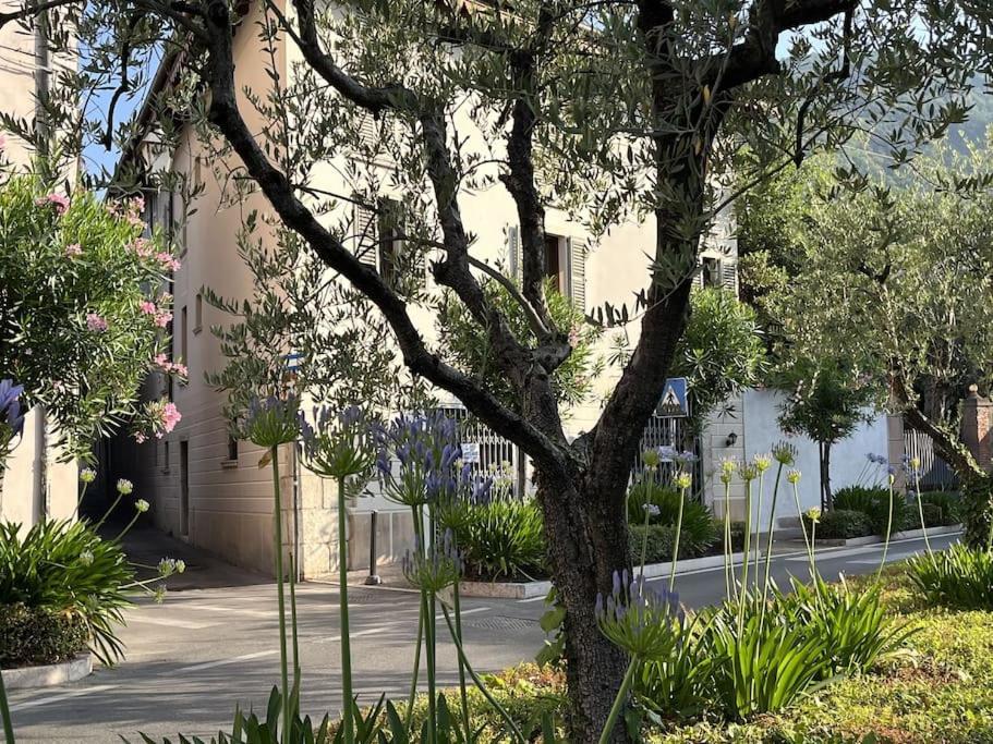 La Piccola Casa Al Lago - Intera Casa Con 3 Camere E 2 Box Salò Exterior foto